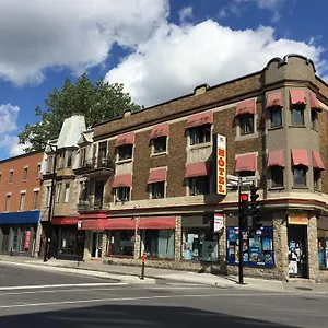 Star Hotel